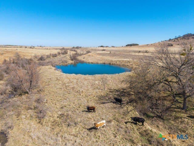 191 acres in Coryell County - photo 19