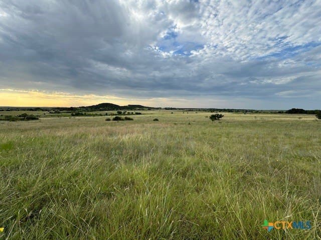 191 acres in Coryell County - photo 7