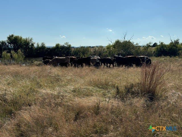 191 acres in Coryell County - photo 11