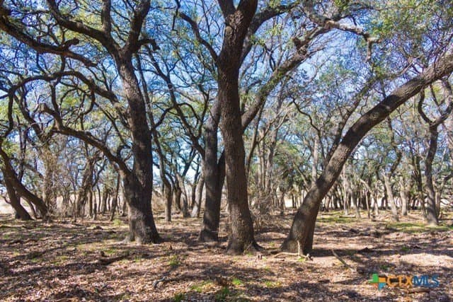 191 acres in Coryell County - photo 15