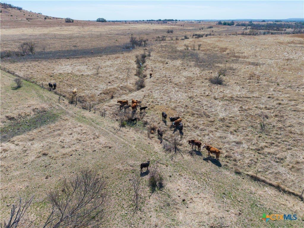 191 acres in Coryell County - photo 35