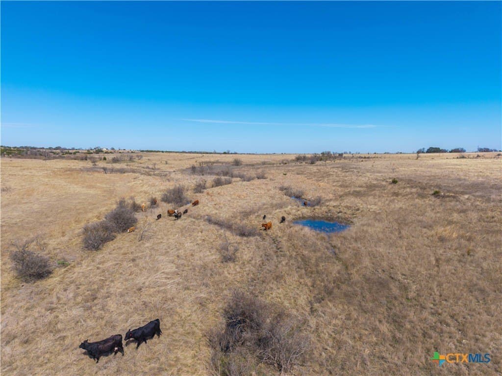 191 acres in Coryell County - photo 45