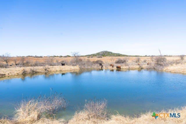 191 acres in Coryell County - photo 16