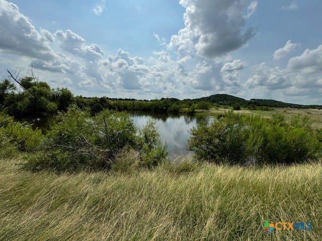 191 acres in Coryell County - photo 6