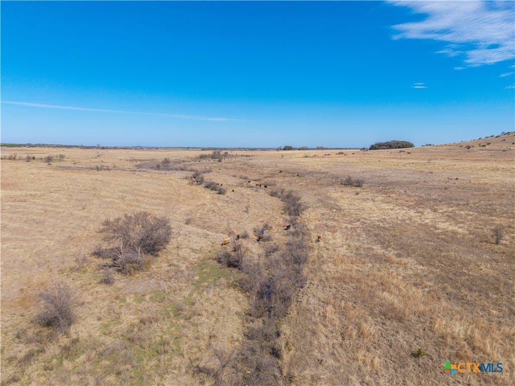 191 acres in Coryell County - photo 44