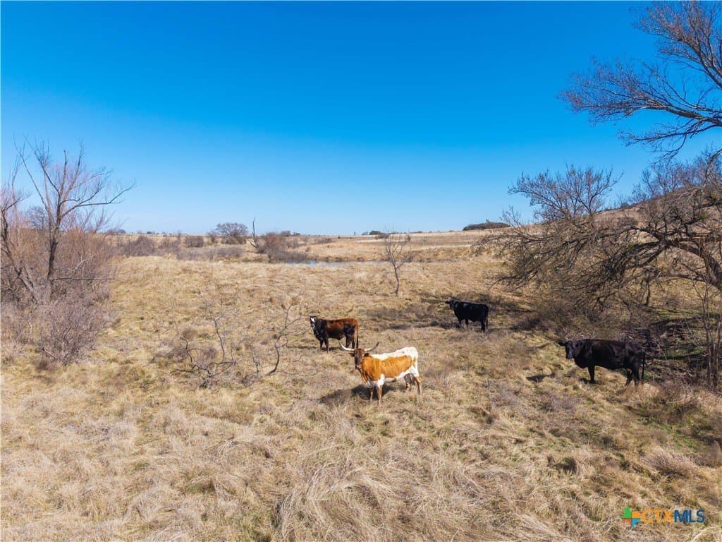 191 acres in Coryell County - photo 39