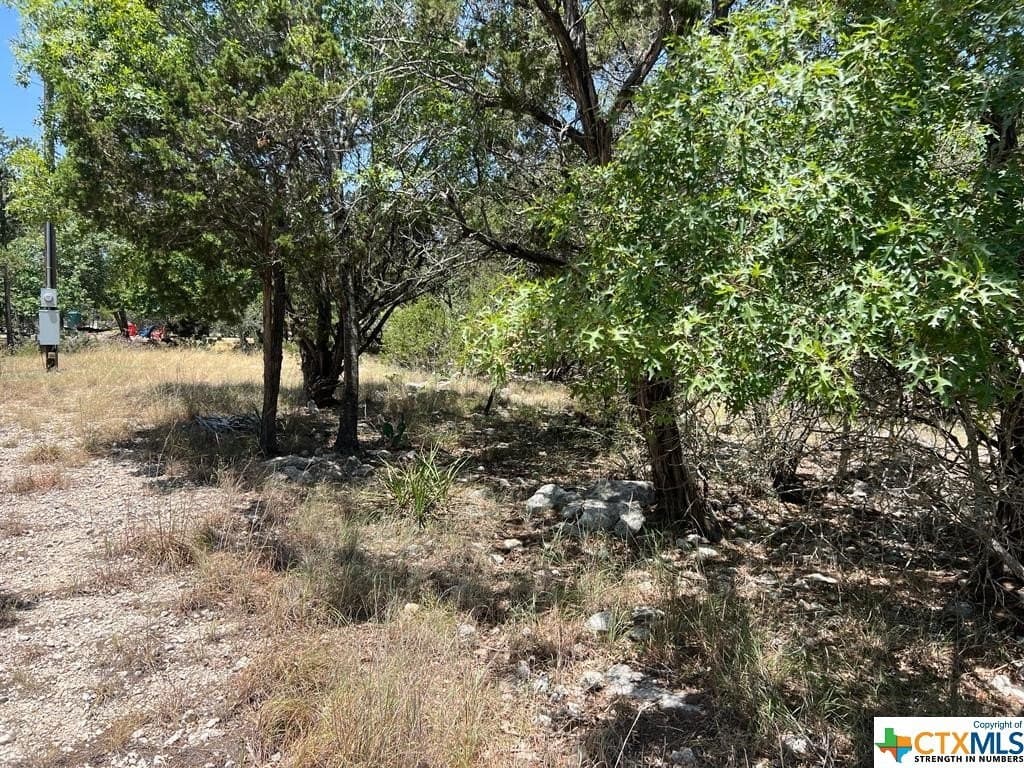 0.19 acres in Comal County - photo 4