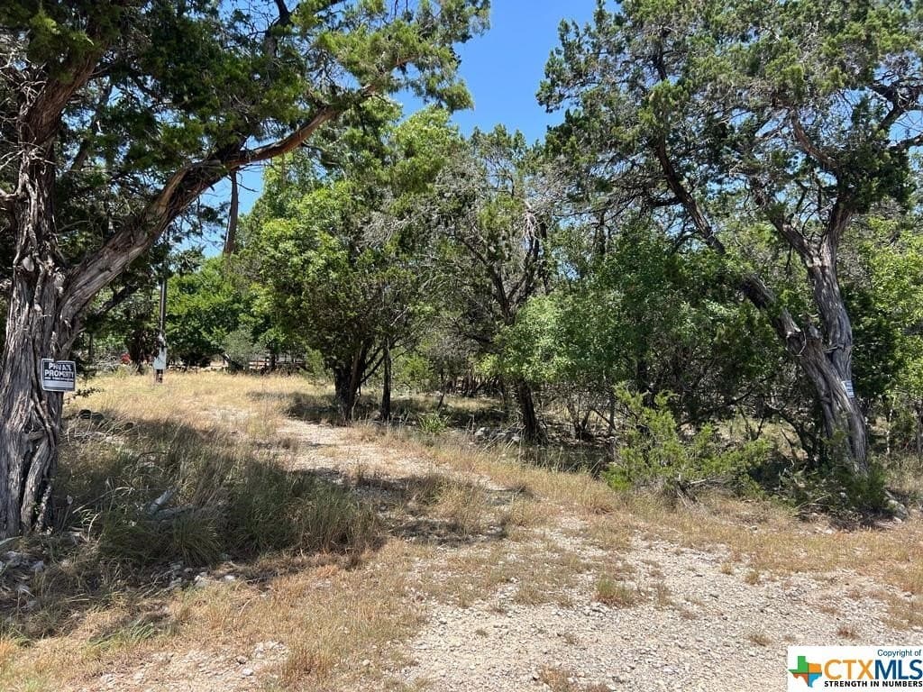 0.19 acres in Comal County - photo 7