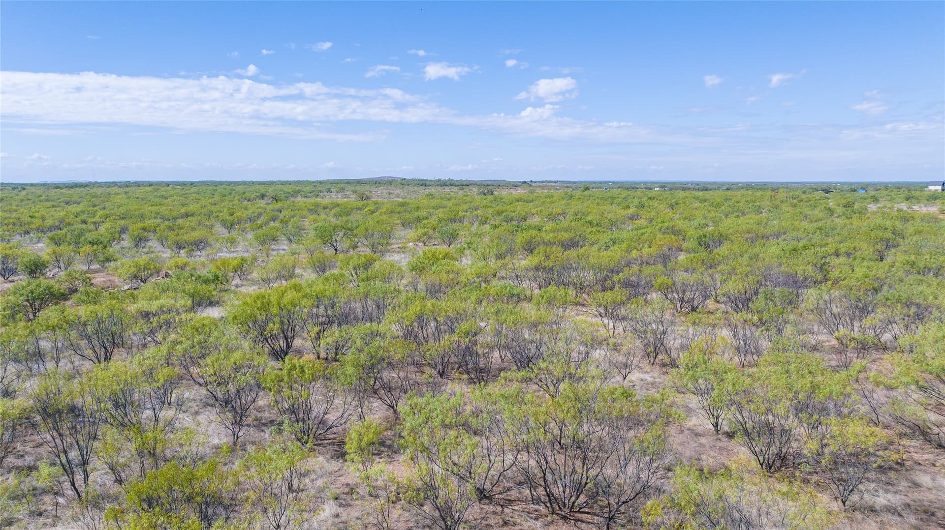 100 acres in Jones County - photo 6