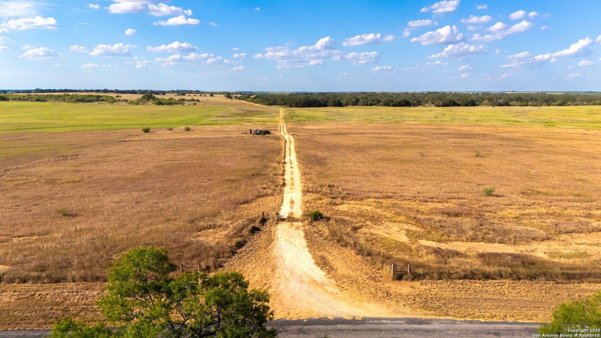 16.1 acres in Wilson County