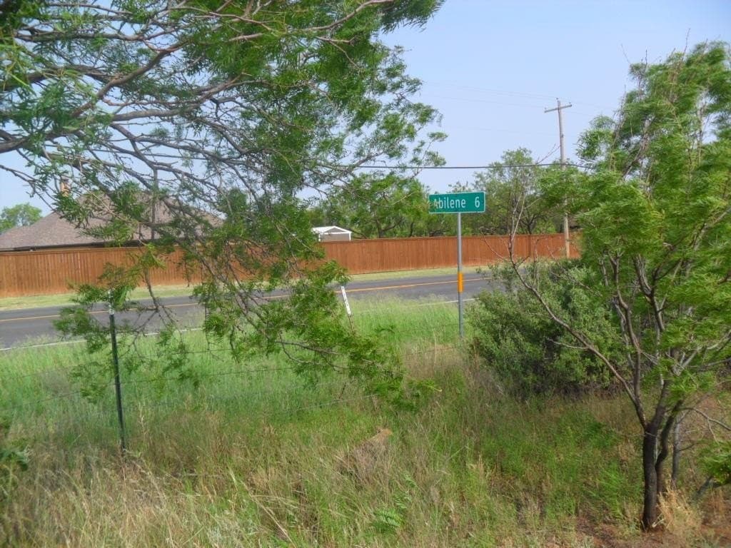 46.64 acres in Taylor County gallery image 4