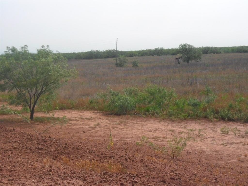 46.64 acres in Taylor County gallery image 2