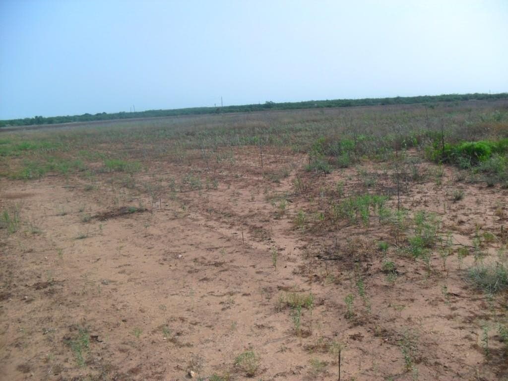 46.64 acres in Taylor County featured view