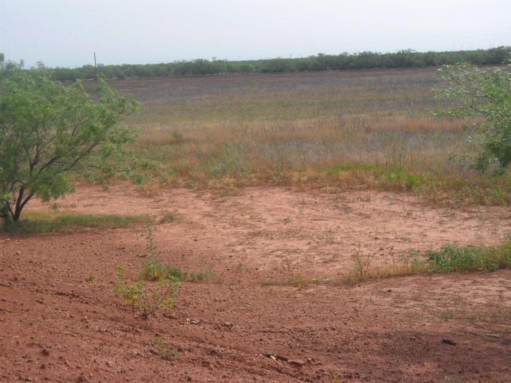 46.64 acres in Taylor County gallery image 3