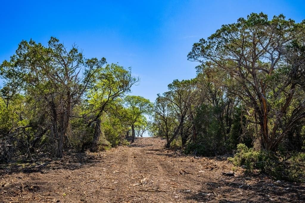 50 acres in Kerr County gallery image 3