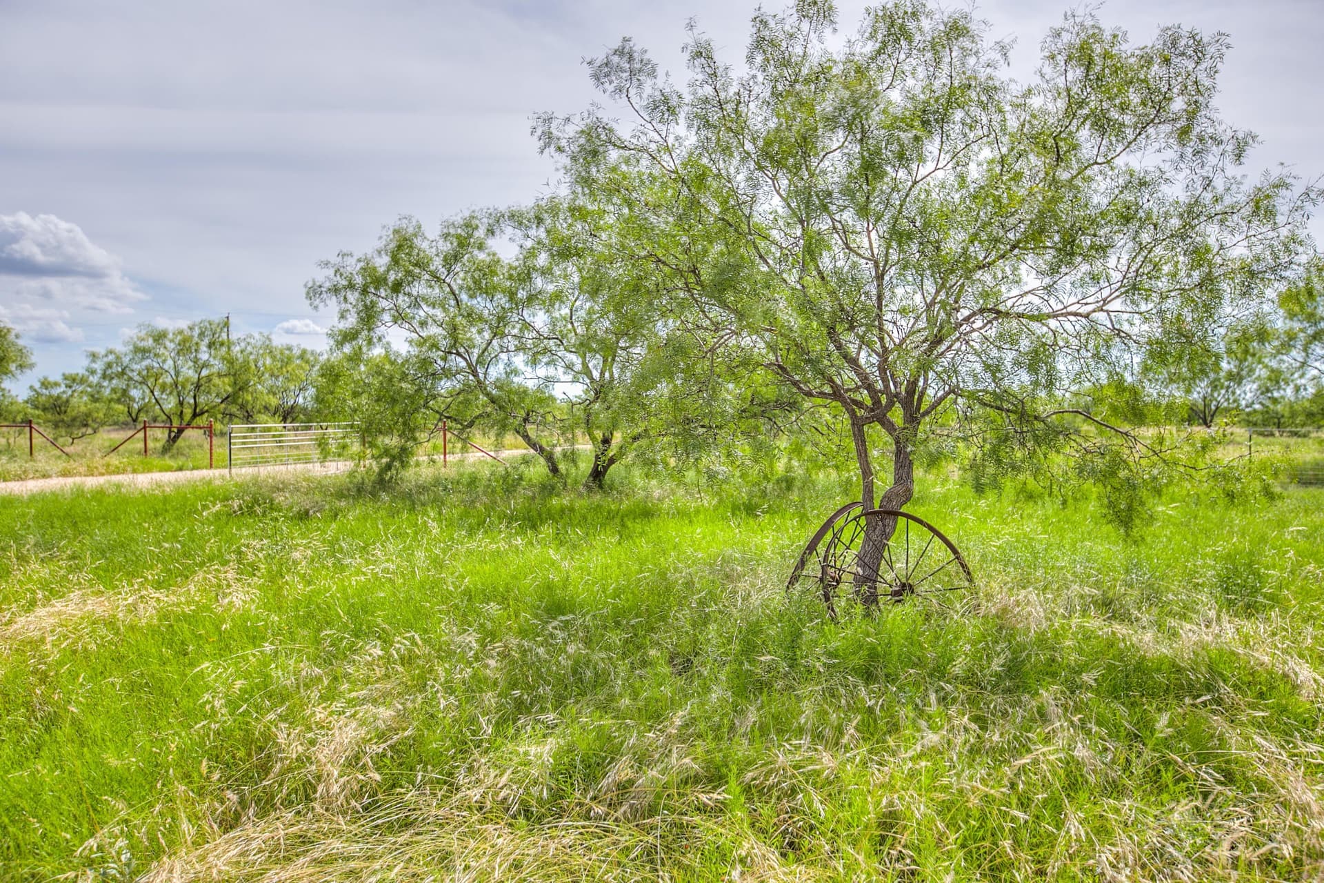 234.32 acres in Runnels County - photo 26