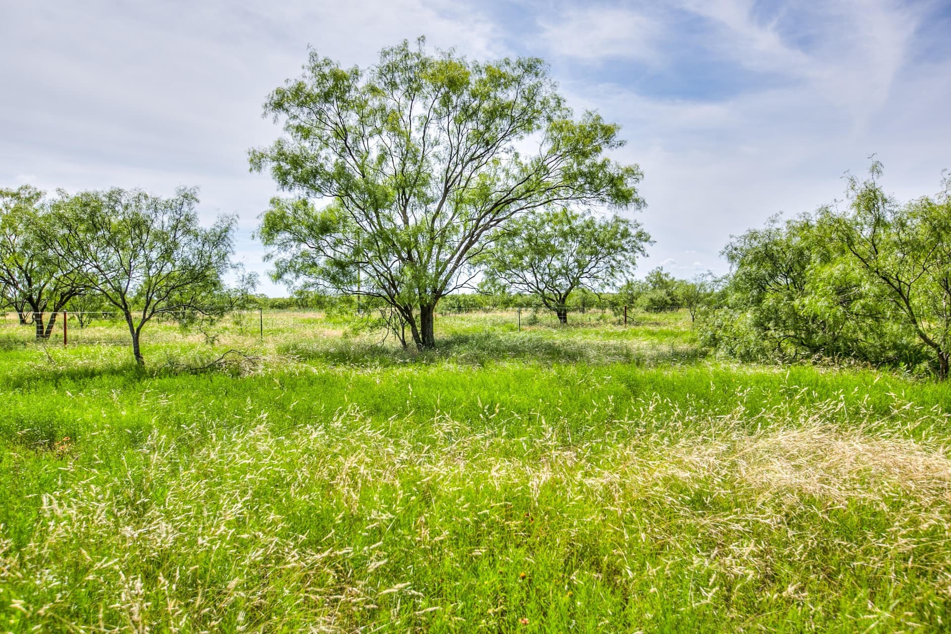 234.32 acres in Runnels County - photo 25