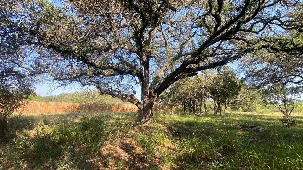 5.3 acres in Real County - photo 25