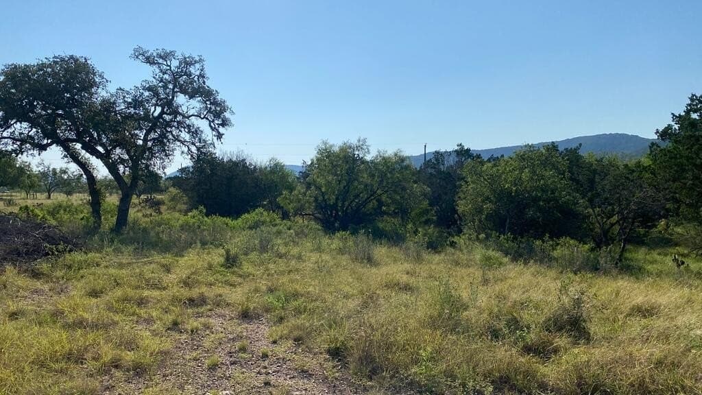 5.3 acres in Real County - photo 12