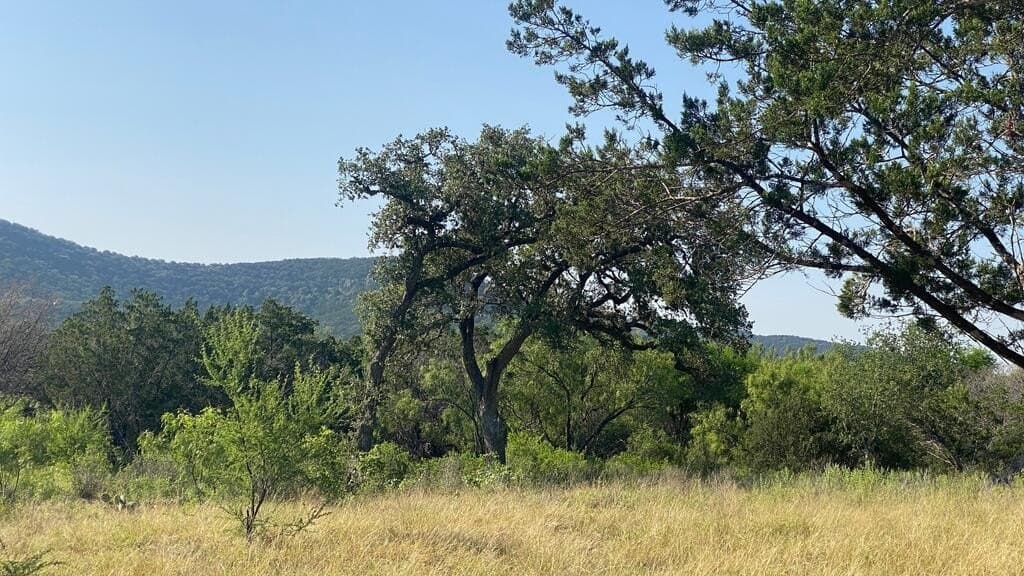 5.3 acres in Real County - photo 37