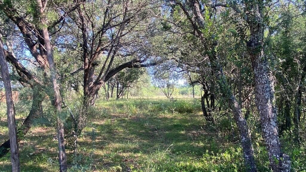 5.3 acres in Real County - photo 24