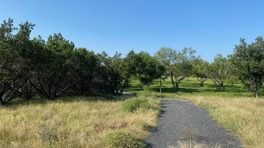 5.3 acres in Real County - photo 13
