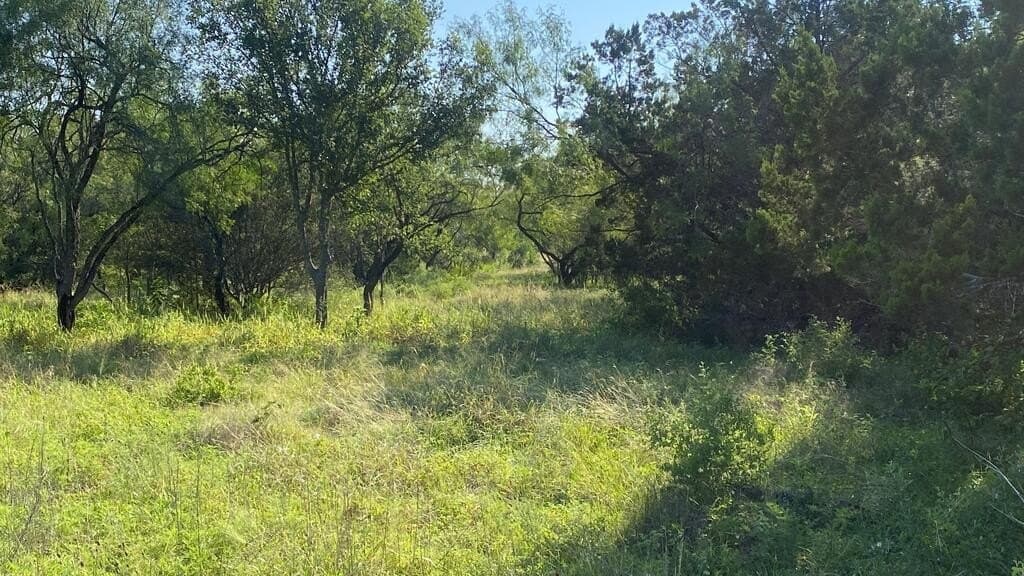 5.3 acres in Real County - photo 8