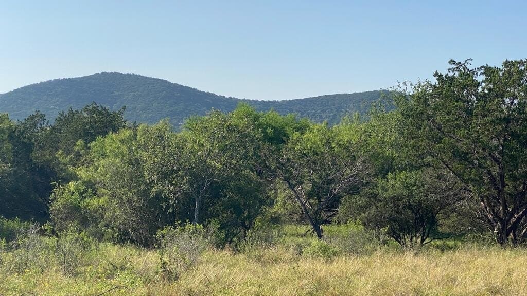 5.3 acres in Real County - photo 14