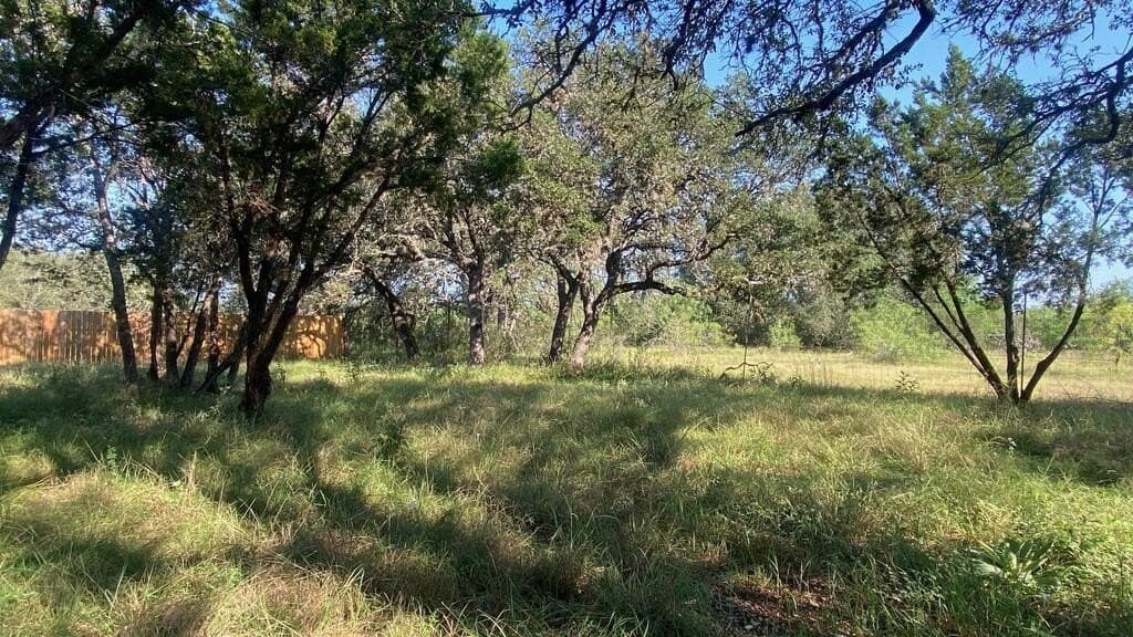 5.3 acres in Real County - photo 31