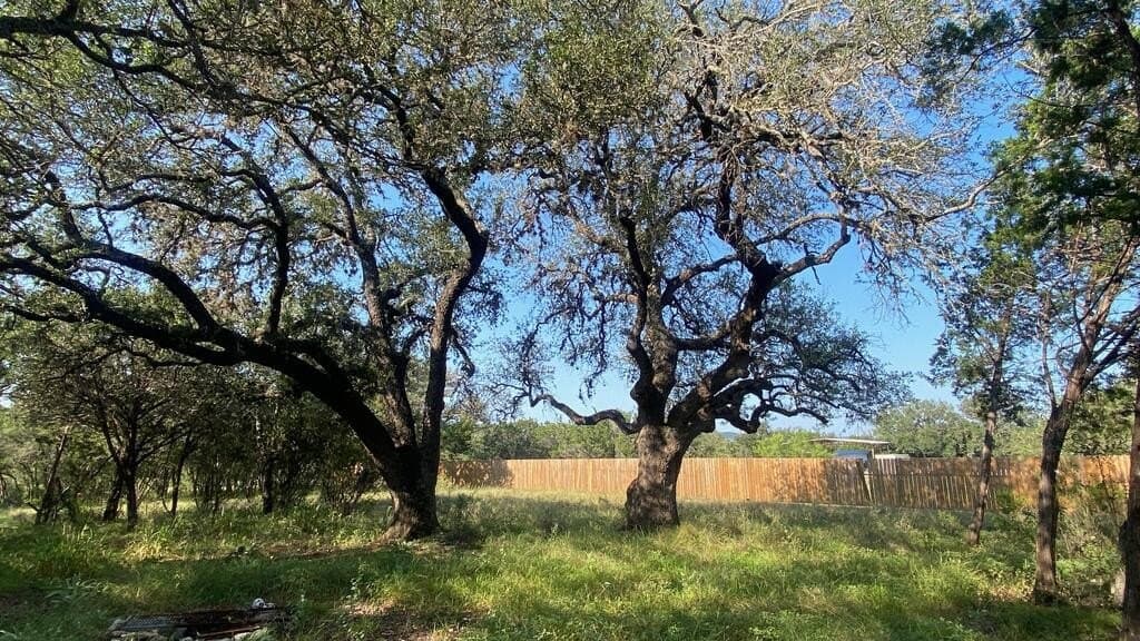 5.3 acres in Real County - photo 33