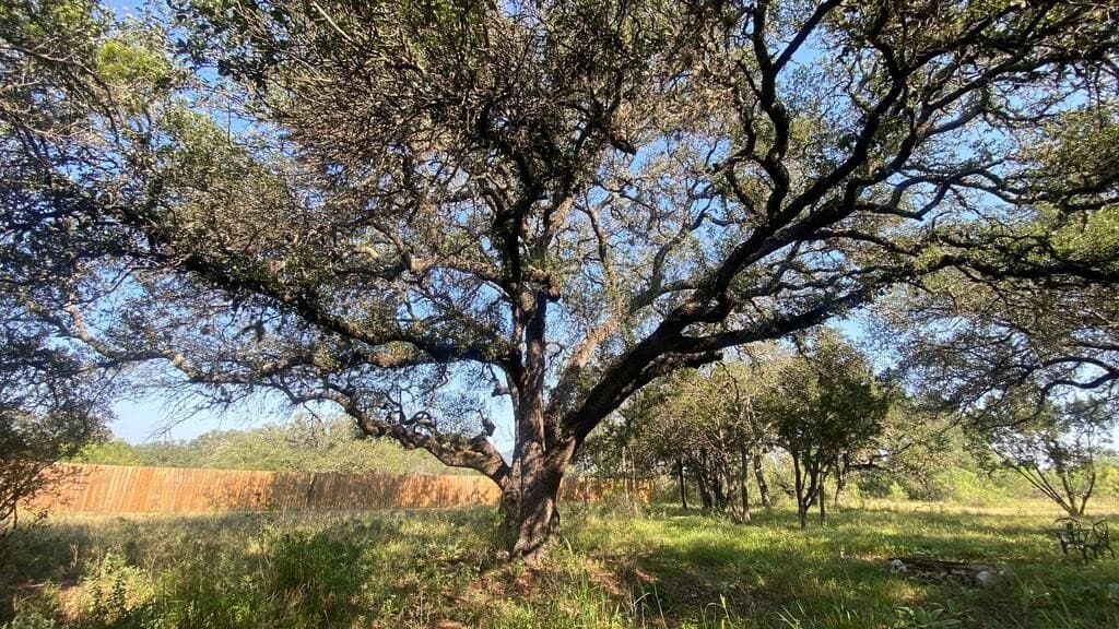 5.3 acres in Real County - photo 26