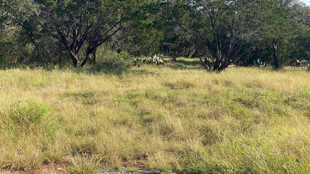 5.3 acres in Real County - photo 16