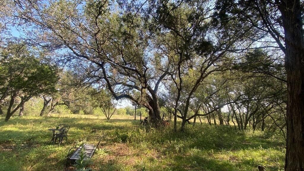 5.3 acres in Real County - photo 29