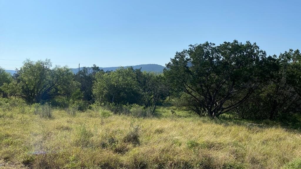 5.3 acres in Real County - photo 11