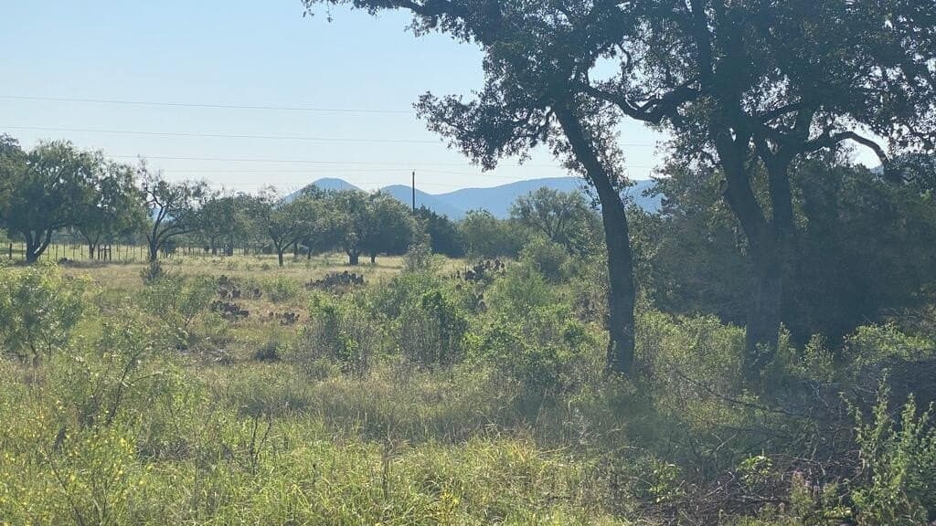 5.3 acres in Real County - photo 15