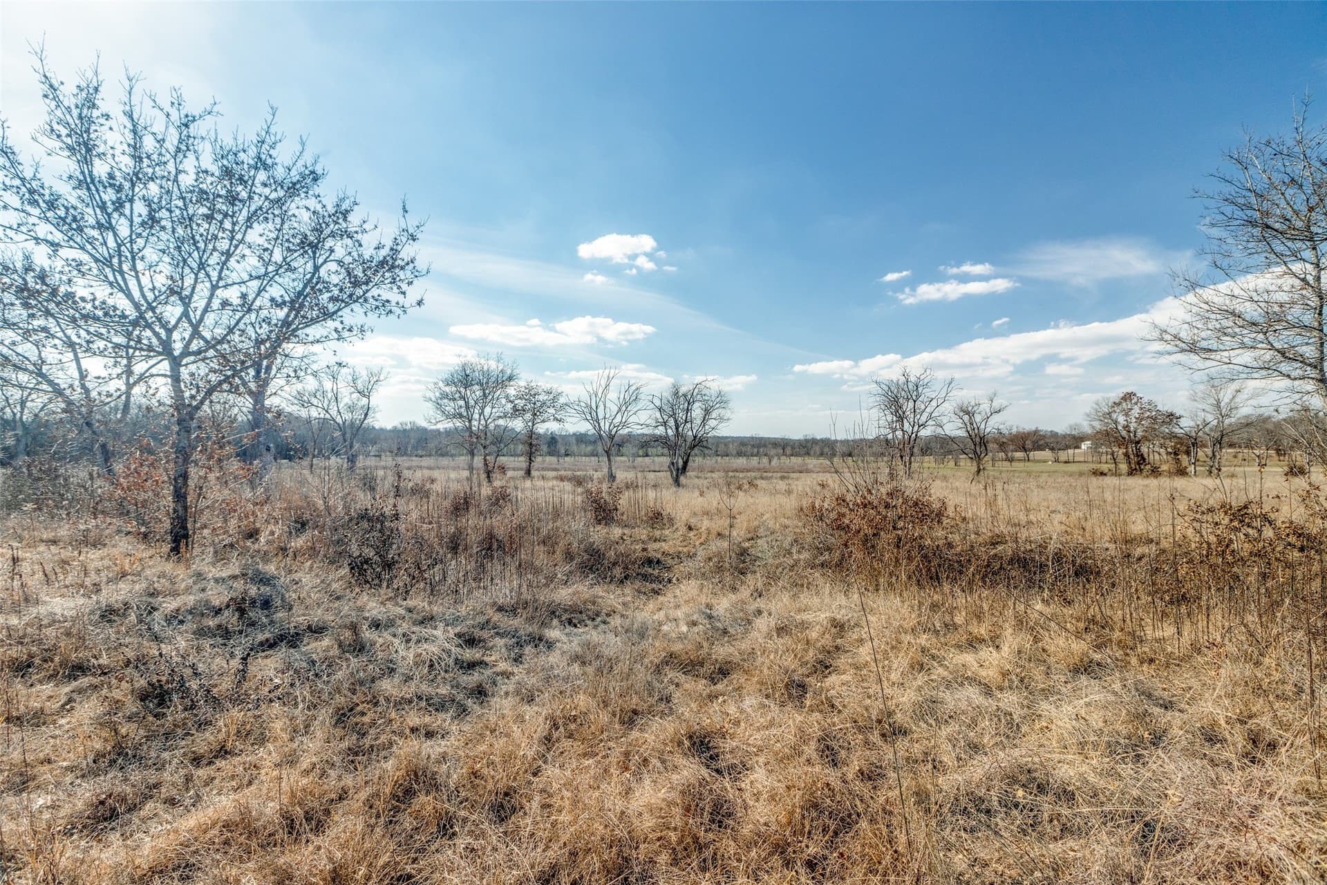 11.5 acres in Grayson County - photo 6