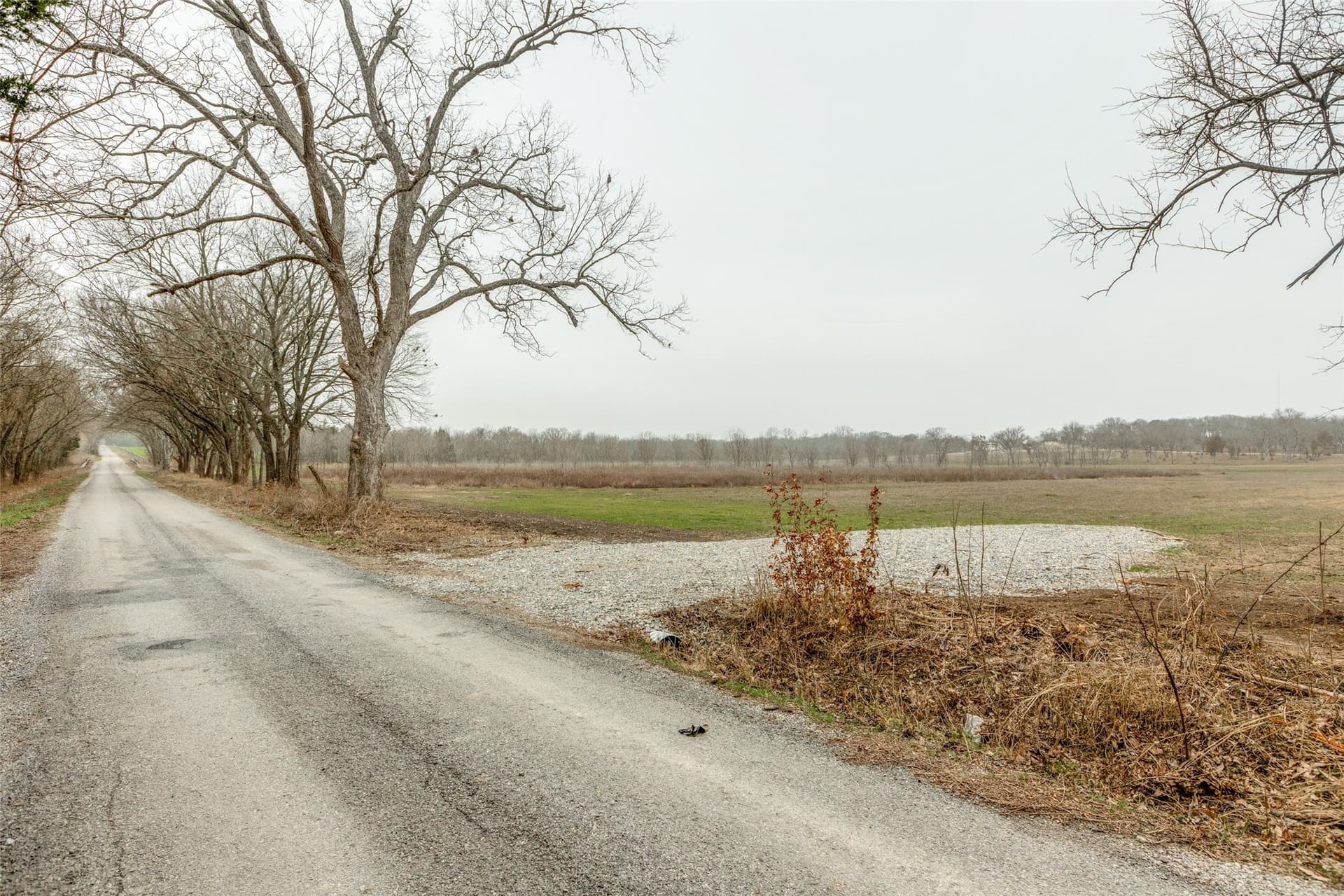 11.5 acres in Grayson County gallery image 3
