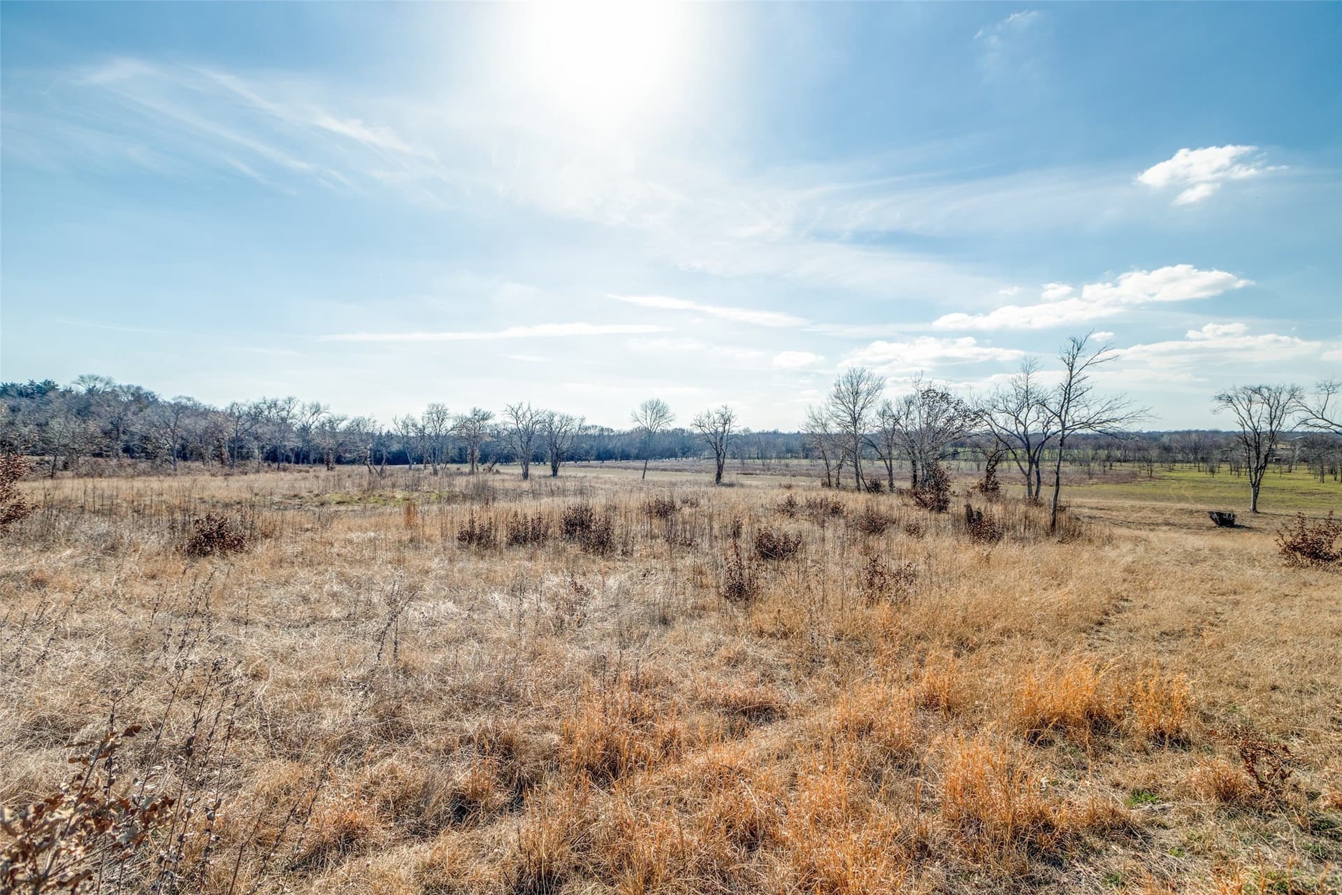 11.5 acres in Grayson County - photo 7