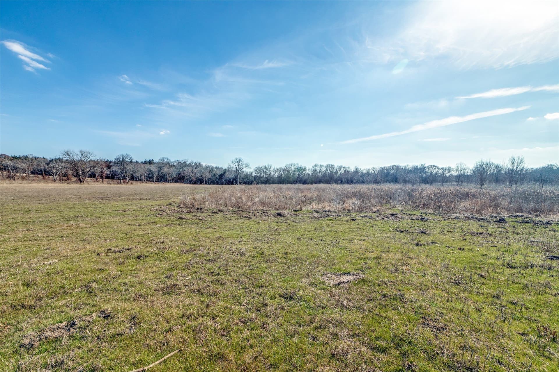 11.5 acres in Grayson County - photo 8