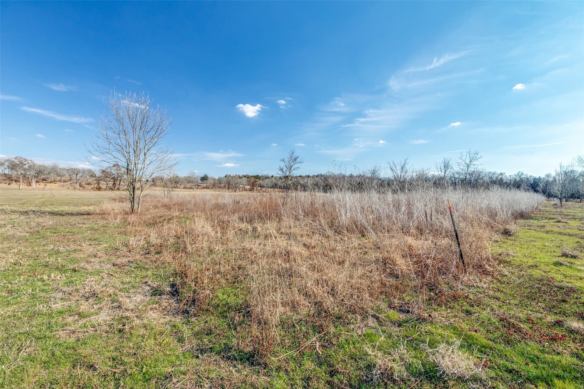 11.5 acres in Grayson County - photo 9