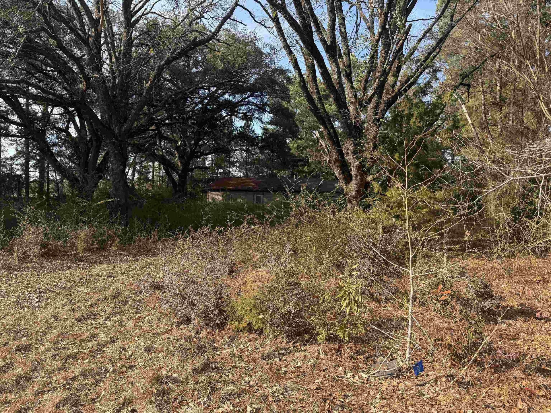 2.27 acres in Texas County gallery image 4