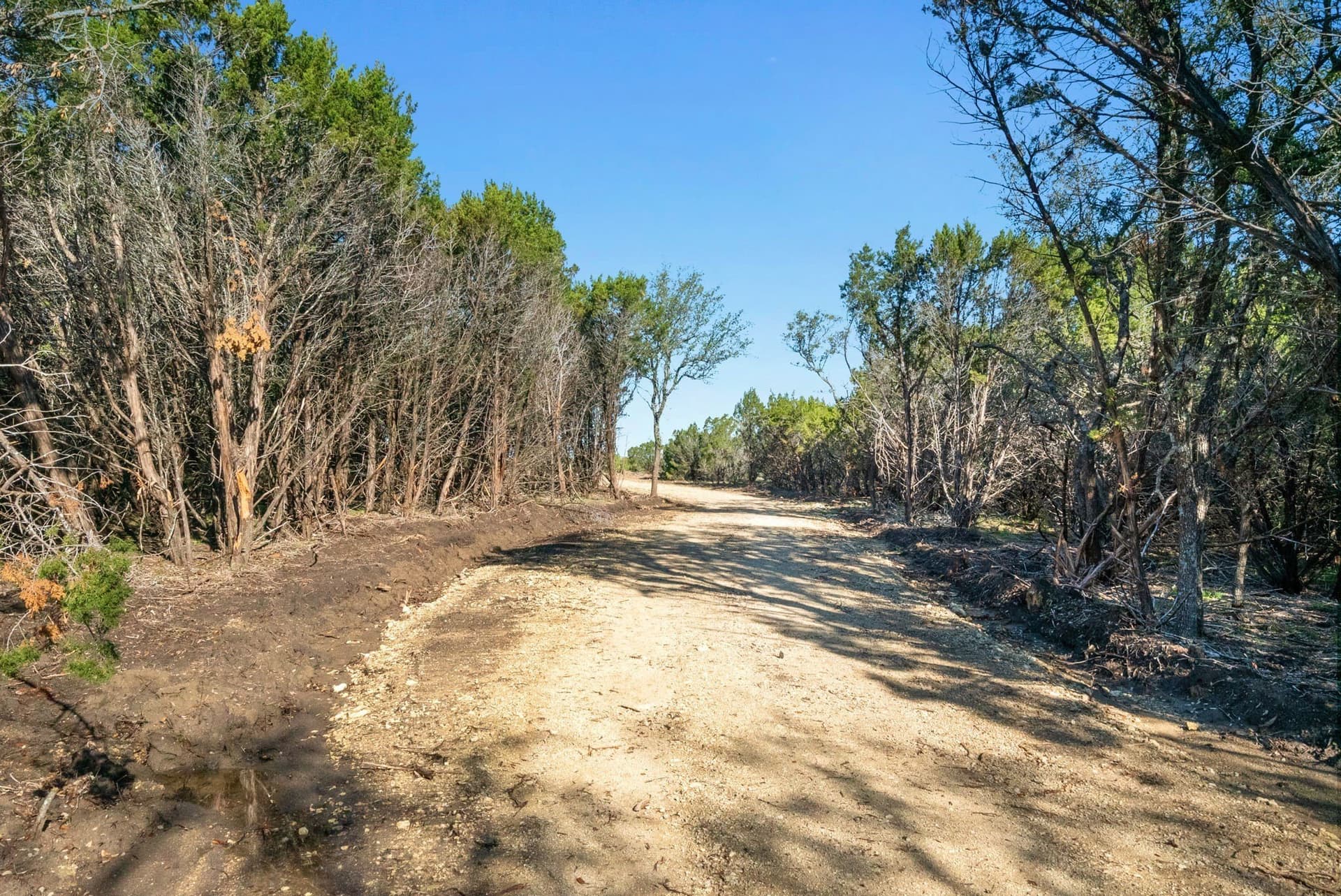 55.5 acres in Somervell County gallery image 2