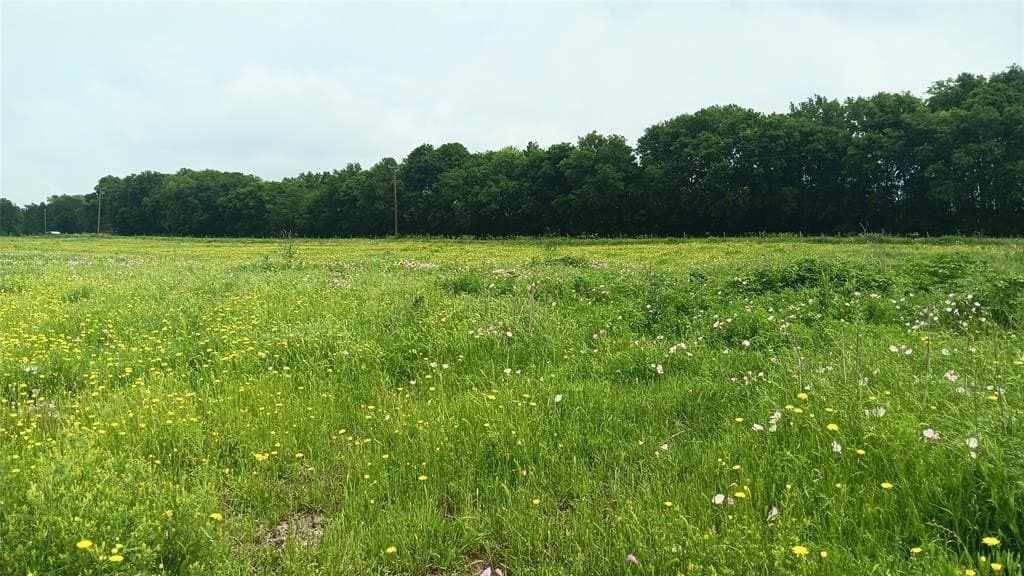 24 acres in Falls County gallery image 4