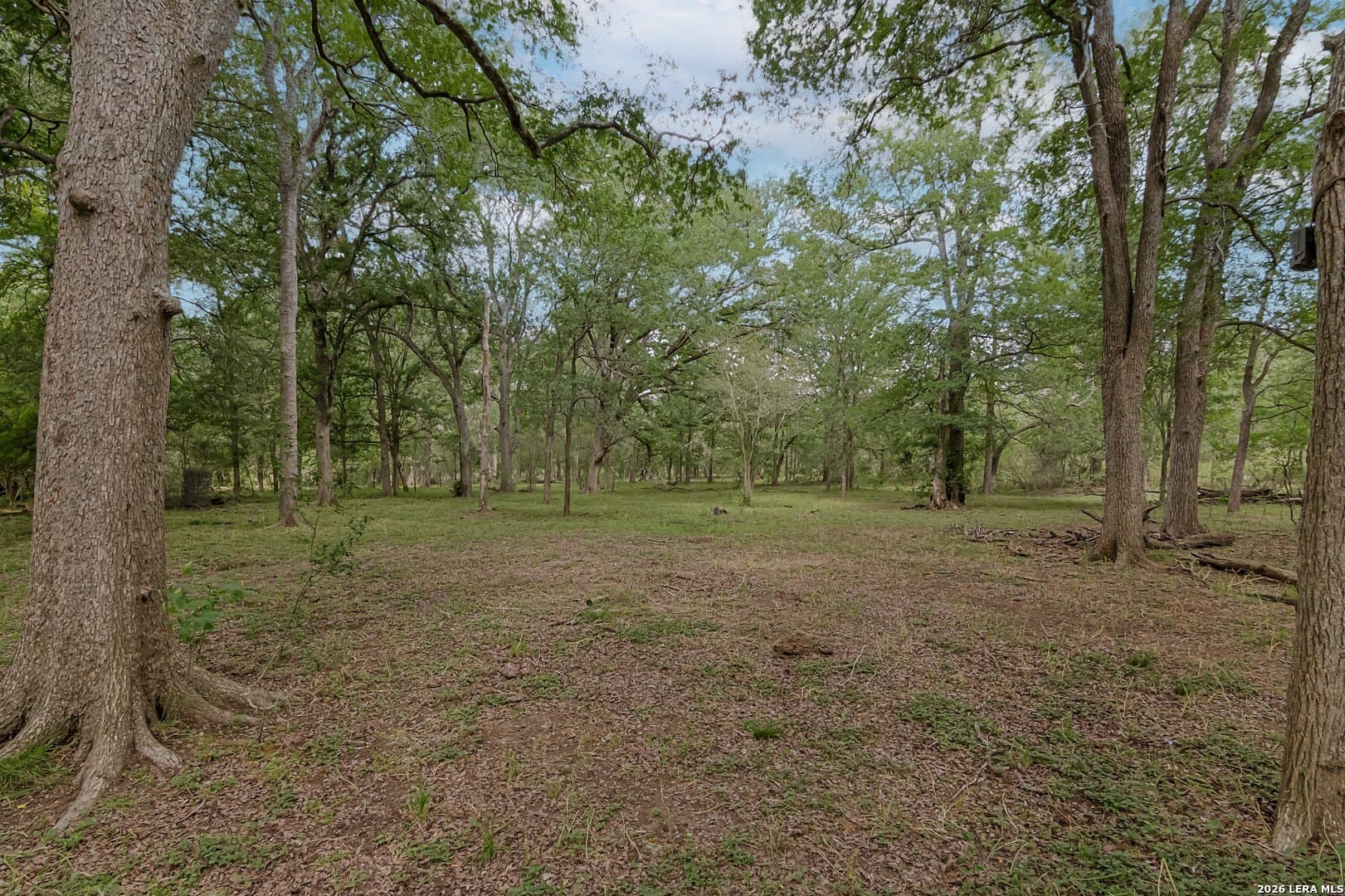 41.28 acres in Guadalupe County - photo 27
