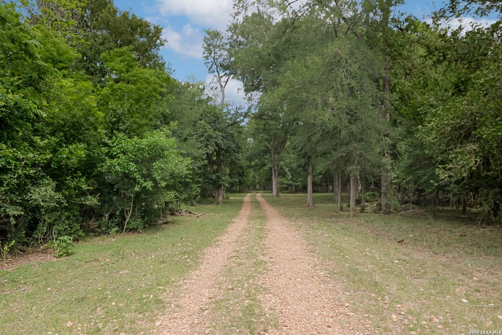41.28 acres in Guadalupe County - photo 26