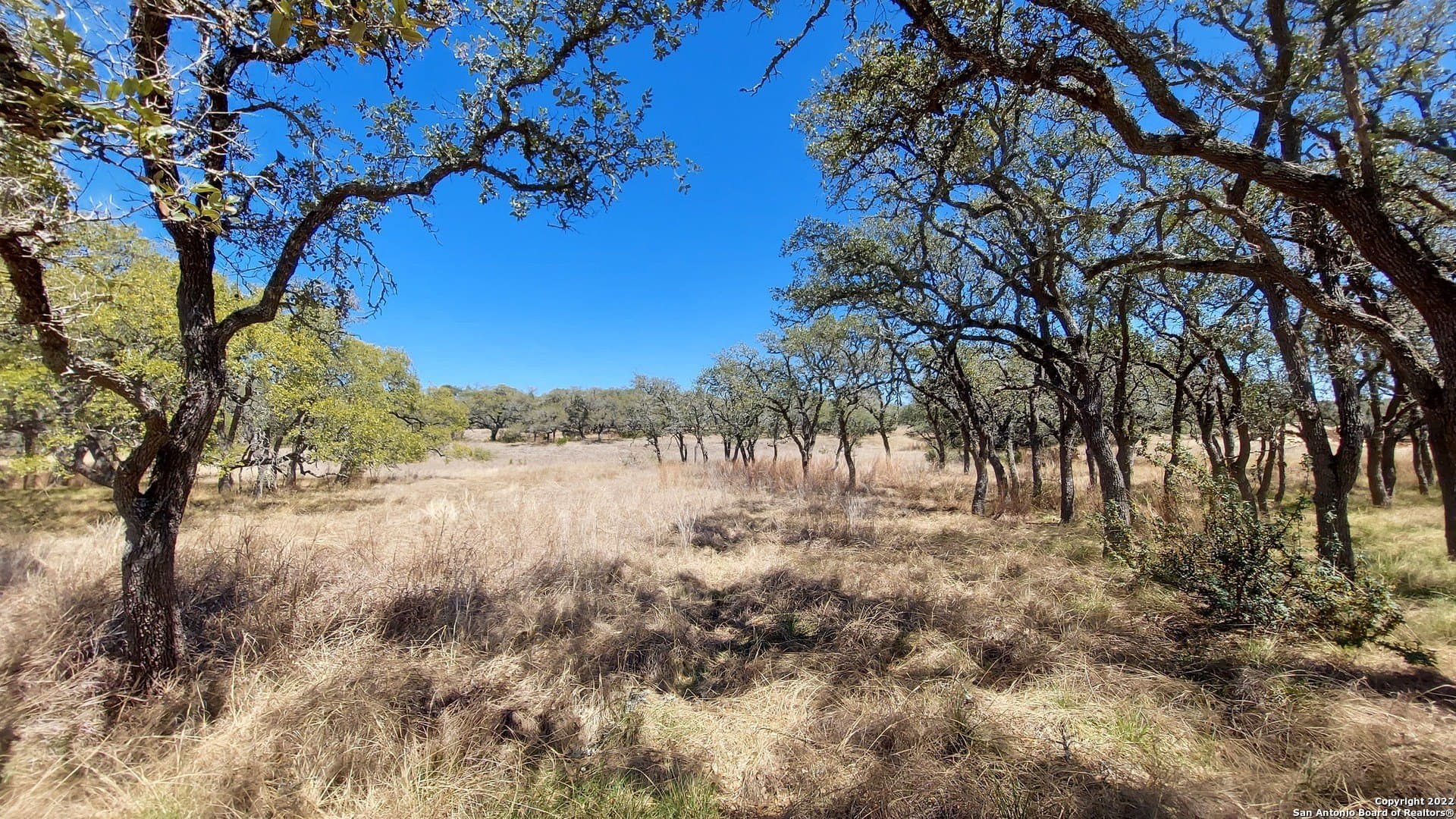 1.2 acres in Comal County - photo 5