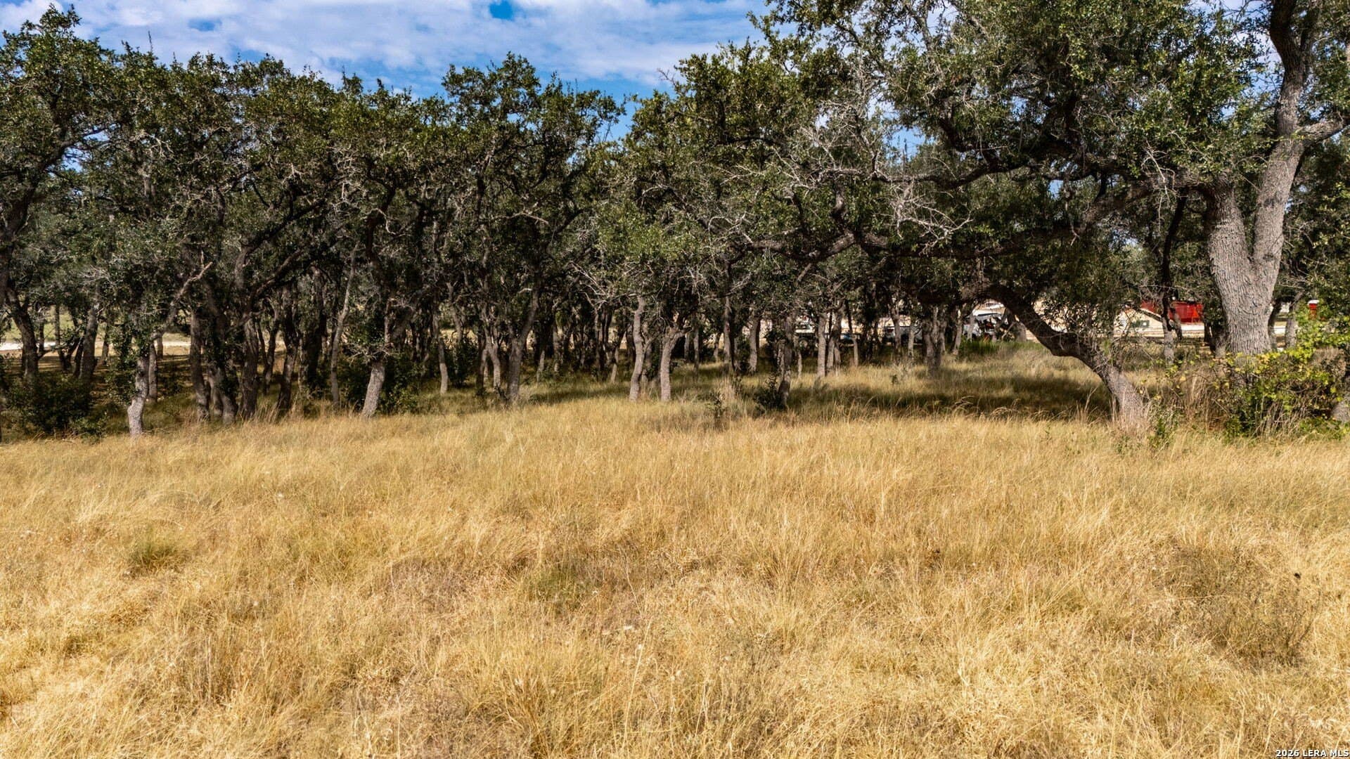 1.2 acres in Comal County - photo 27
