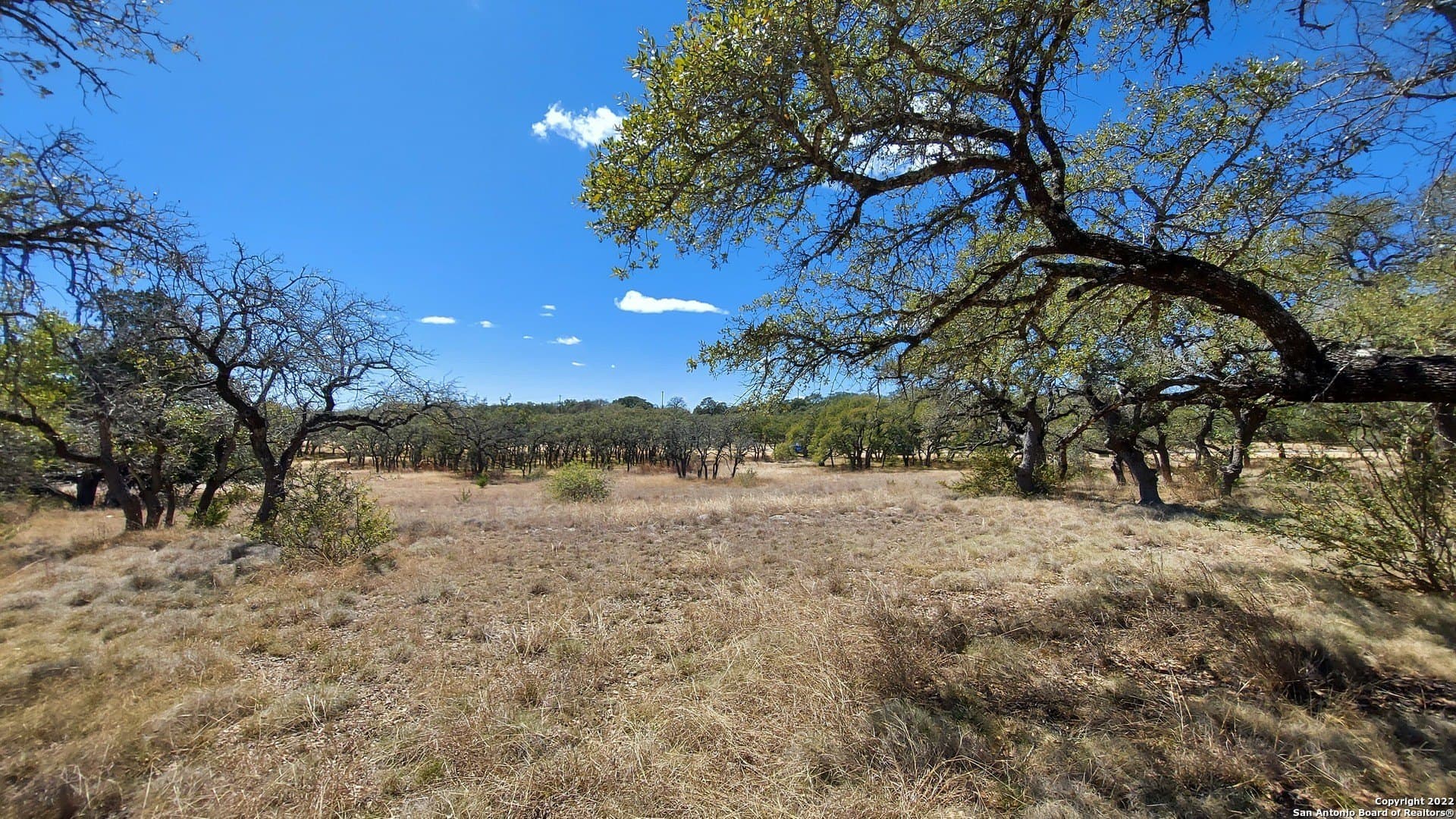1.2 acres in Comal County - photo 8