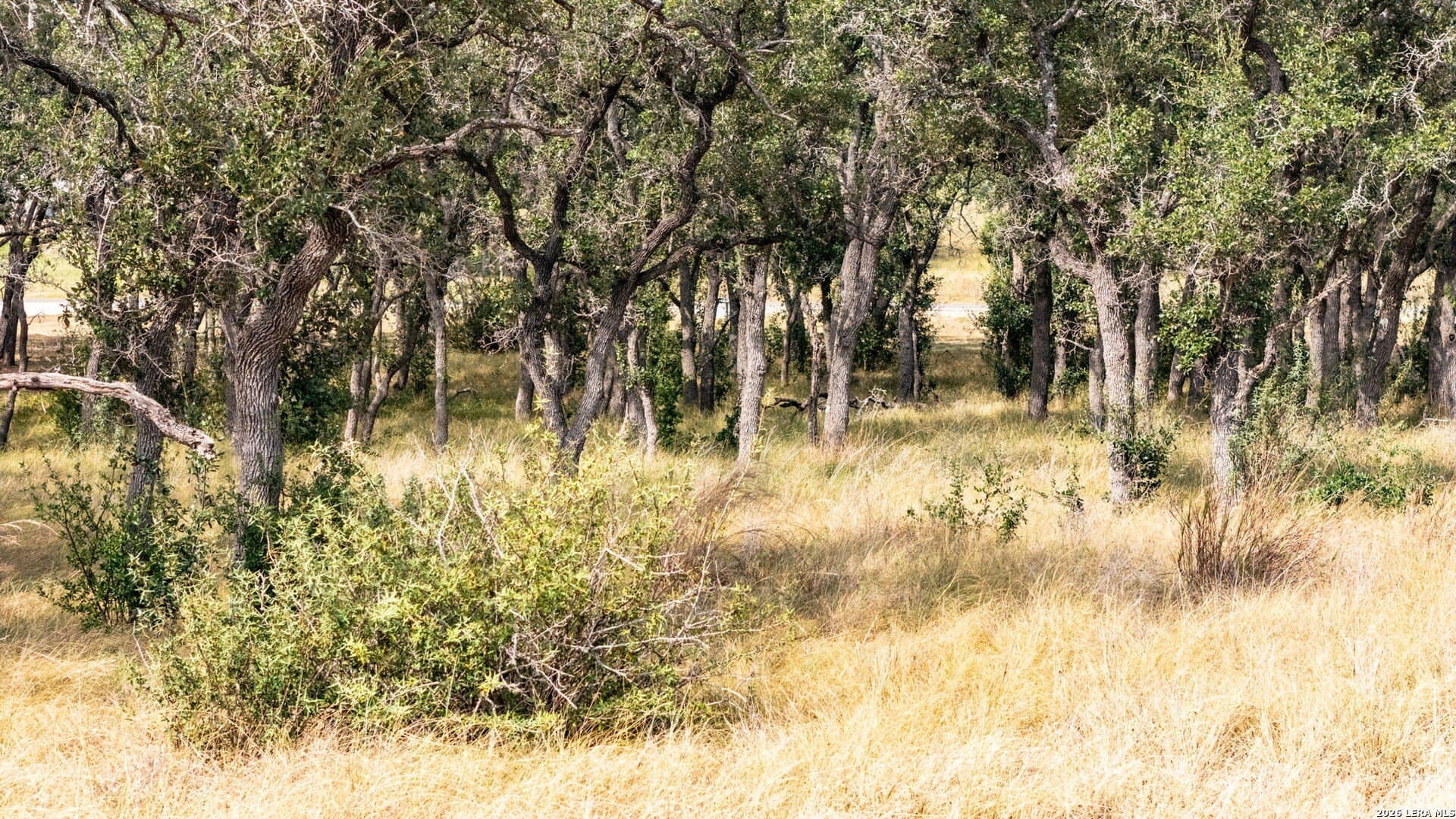 1.2 acres in Comal County - photo 24