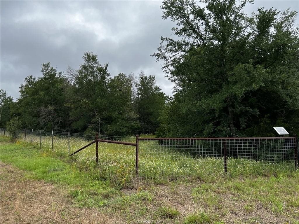 2.39 acres in Brazos County gallery image 4